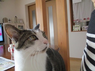 IMG_2787ss.jpg