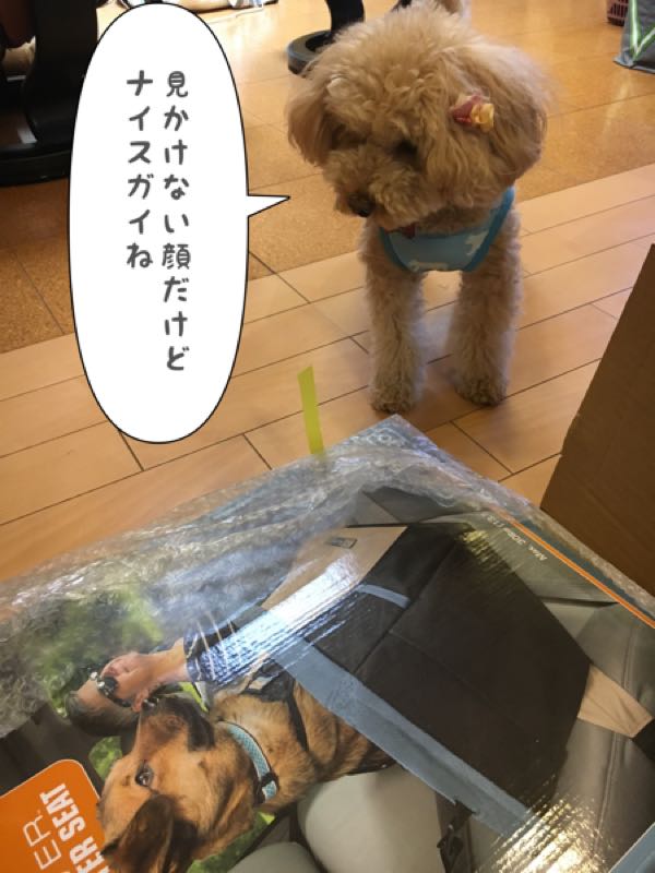 rblog-20170617165518-01.jpg