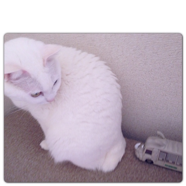 rblog-20130401130247-01.jpg