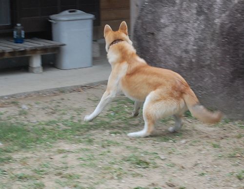 DSC_0076.JPG