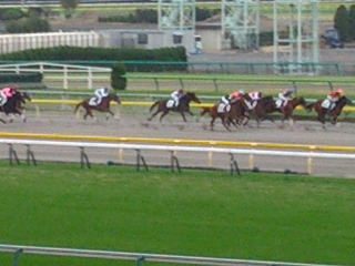 競馬.jpg