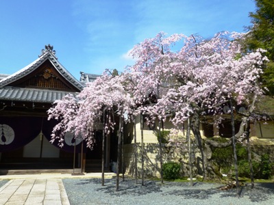 P1080428.JPG
