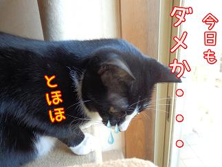 とほほ.JPG