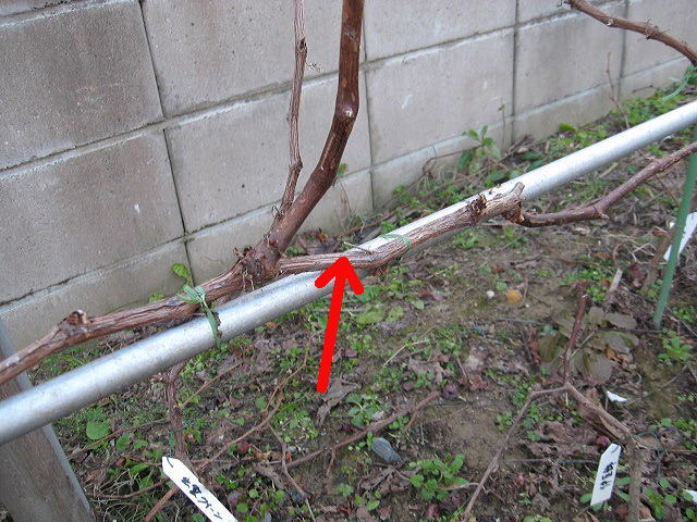 2012 8 20 002a.jpg