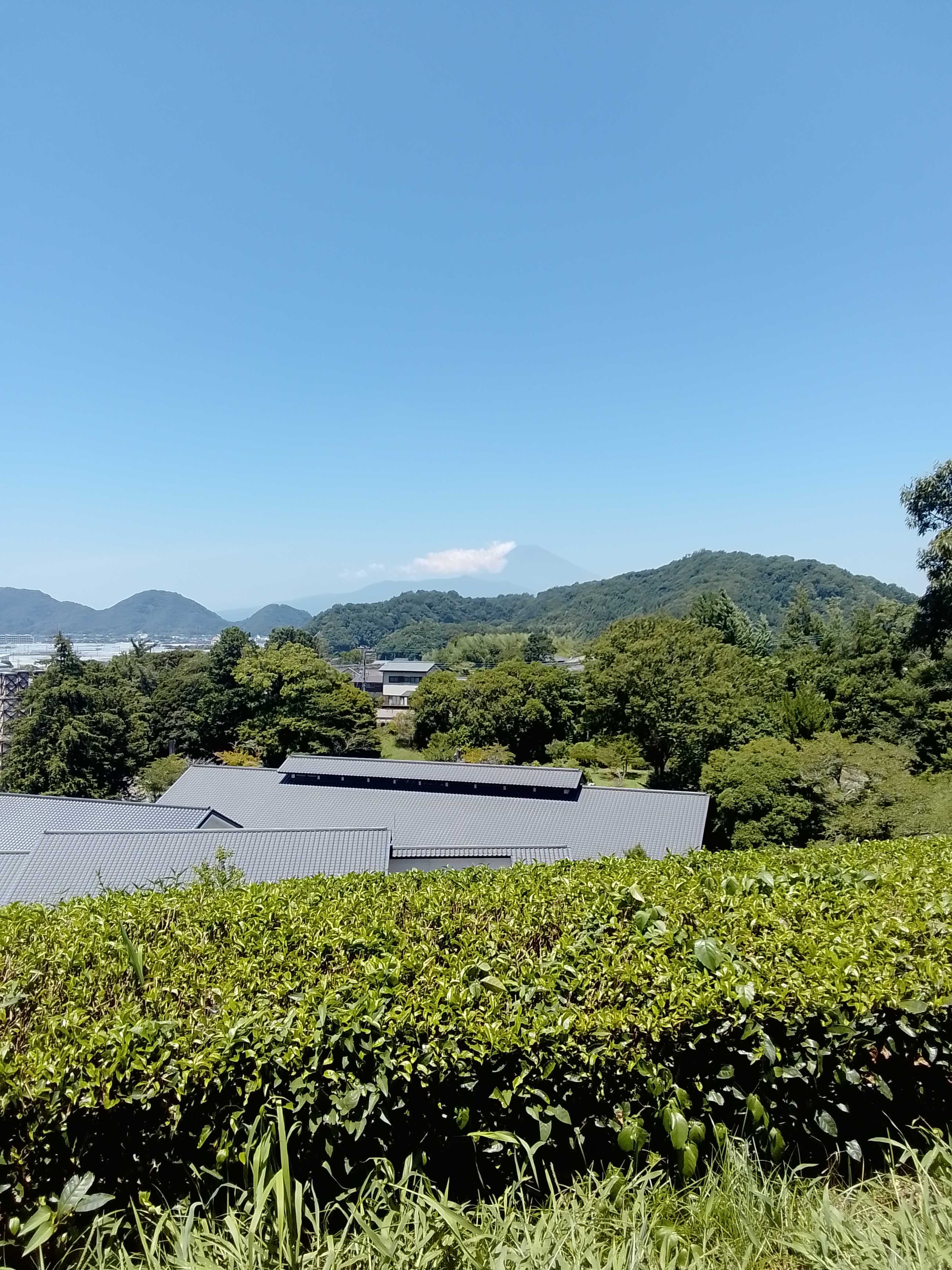 韮山茶畑より富士山遠景　韮山反射炉