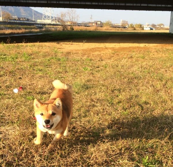rblog-20151213181741-04.jpg