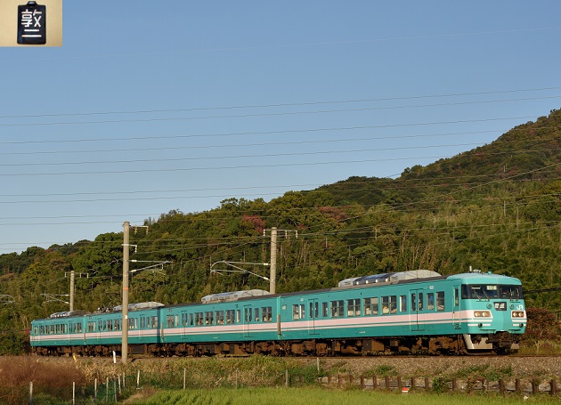 SG004 117系 2014.11.16　1.jpg