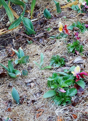 DSCF2273.jpg