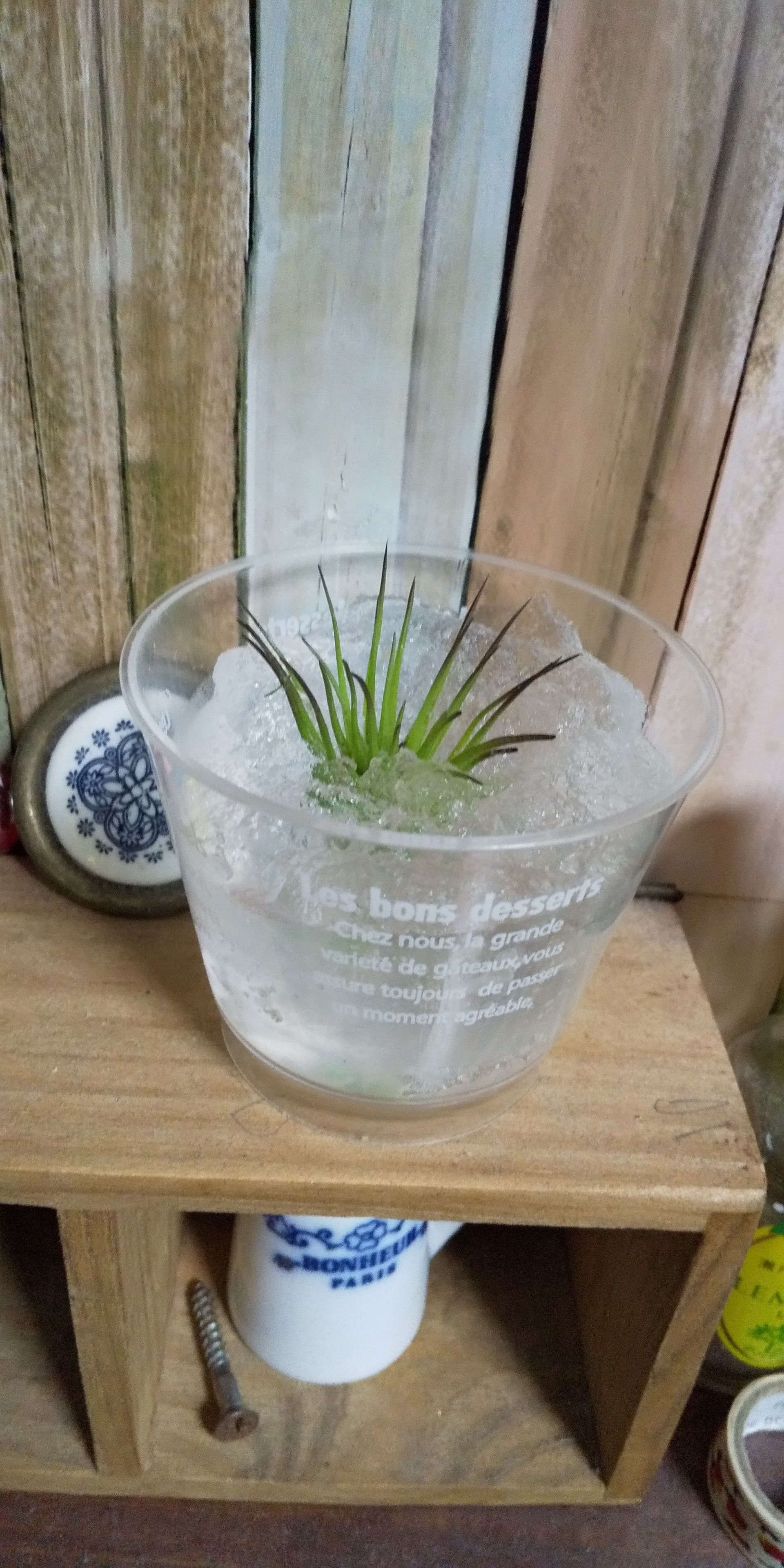 あるもので芳香剤を手作り作戦 節約第二段 強く生きろ 調停離婚を経てシングルマザーになる 楽天ブログ