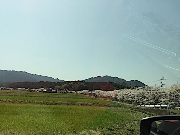 rblog-20180402193748-04.jpg