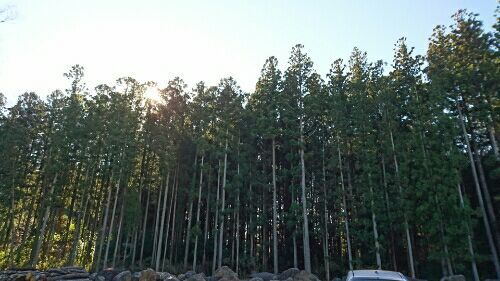 rblog-20161207071309-02.jpg