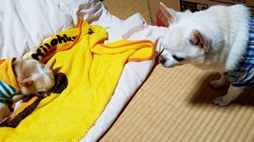 rblog-20180927225948-04.jpg