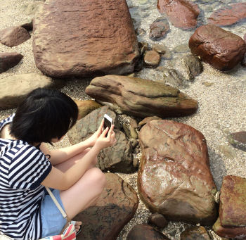 写真