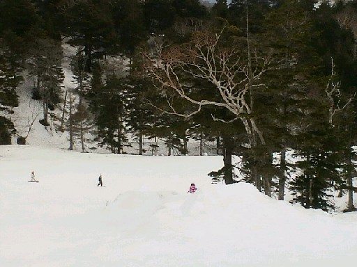 2012043017480000.jpg