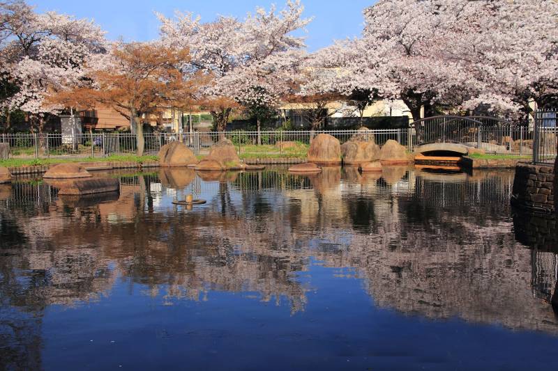 2014春の花_005.jpg