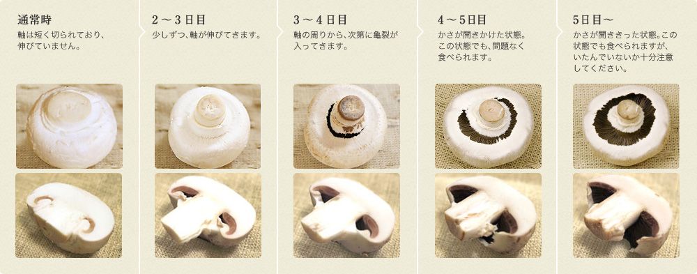 にんにくはカビが生えても食べられる?白 ...