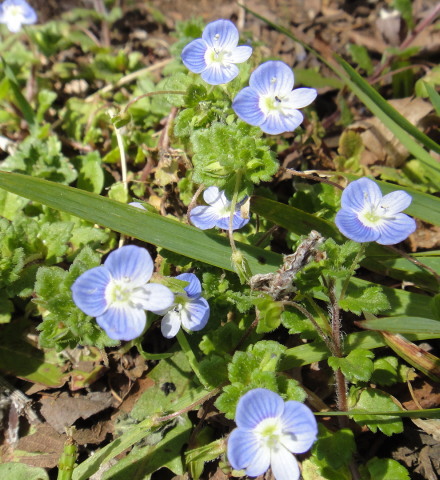 150331-109.jpg