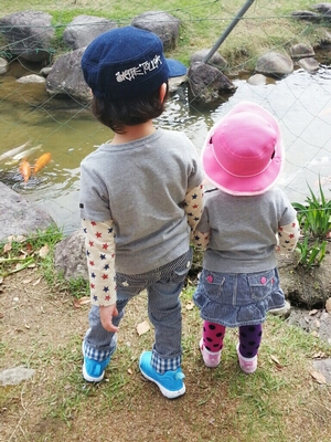 201404203.jpg