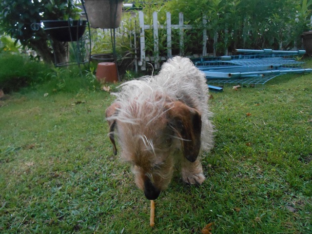 DSCN1905.JPG
