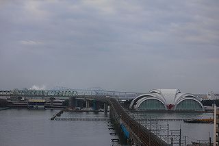 IMG_9882.jpg