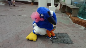 DSC01489.JPG