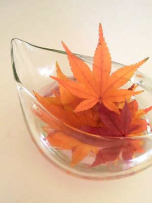 紅葉4.jpg