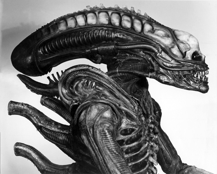 01061_Alien_Sibthorp.jpg