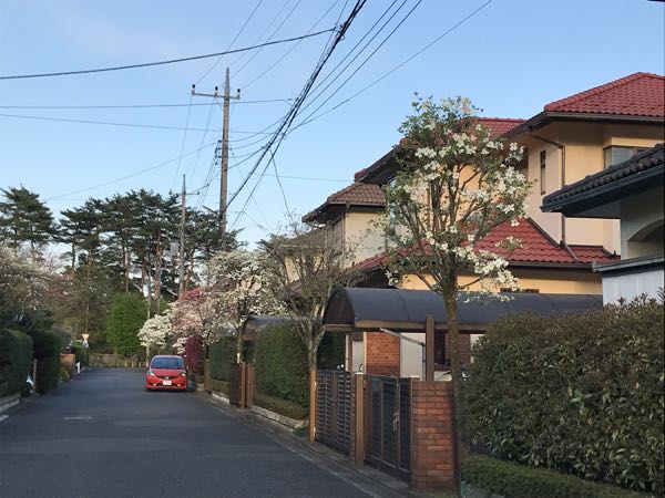 rblog-20180408180536-04.jpg