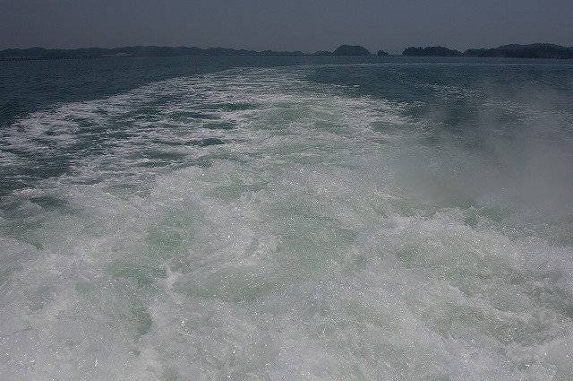 IMGP1056.jpg