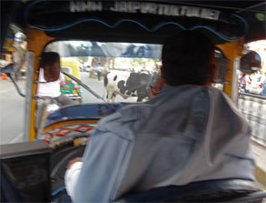 インド855.jpg