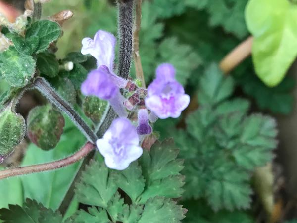 rblog-20181203161408-08.jpg