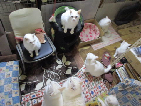 16a0789.jpg