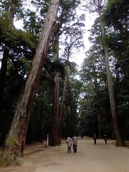 画像 034.jpg