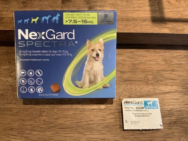 ダイエットのせいでノミ ダニの薬もオヤツ感覚で食べたい犬 アメコカ はうぴーブログ 楽天ブログ