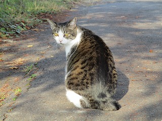IMG_0026ss.jpg