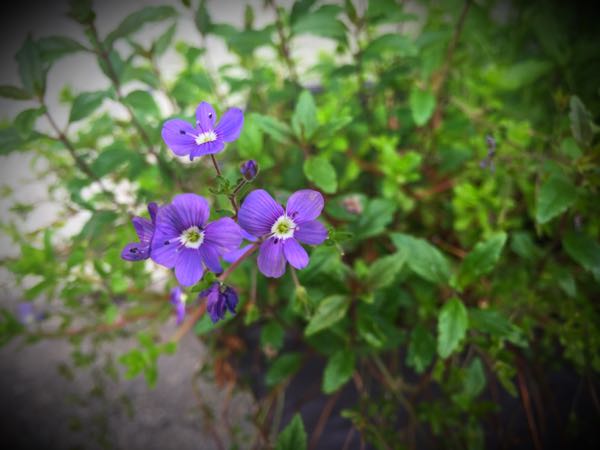rblog-20160427174116-04.jpg