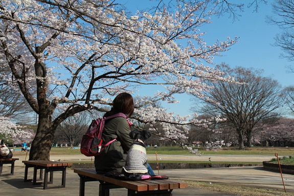 150329_14.jpg