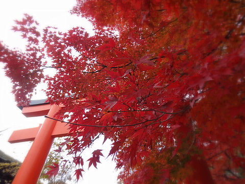 2012120102