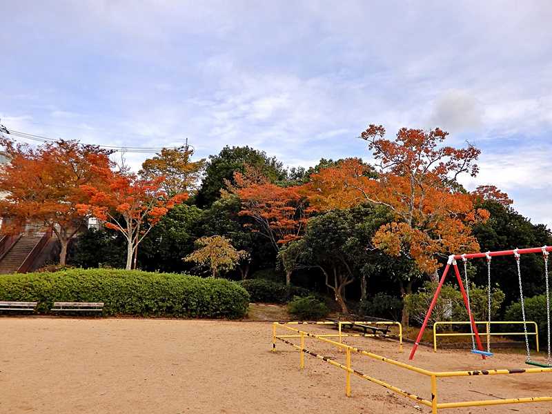 公園5