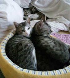 20120620_3.jpg