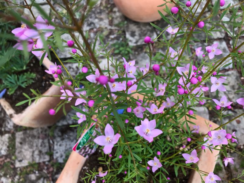 rblog-20190324173828-09.jpg