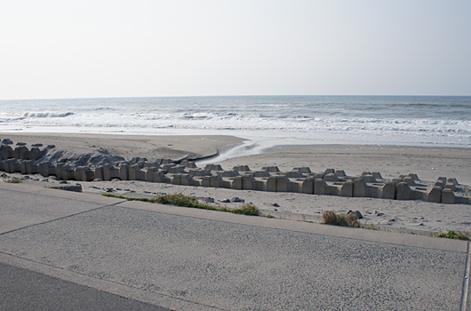 surfinglife-2.jpg