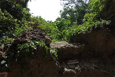 沖縄295.jpg