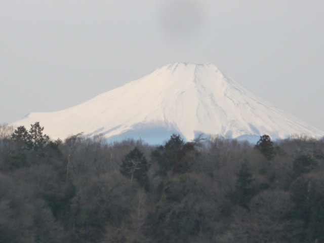 726 富士山