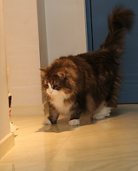 5DA_4974-23.jpg