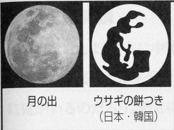 チコちゃんと 中秋の名月 を Jinさんの陽蜂農遠日記 楽天ブログ