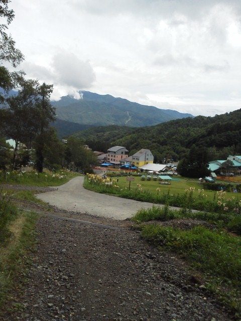 尾瀬岩鞍ゆり園.jpg