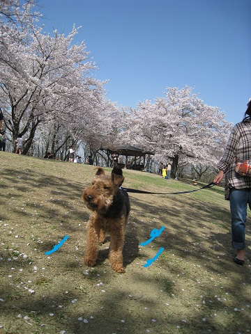 目が・・・
