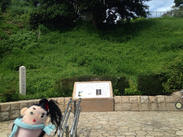 rblog-20180821121007-02.jpg