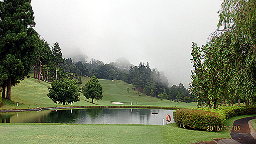 P7053993h2.jpg